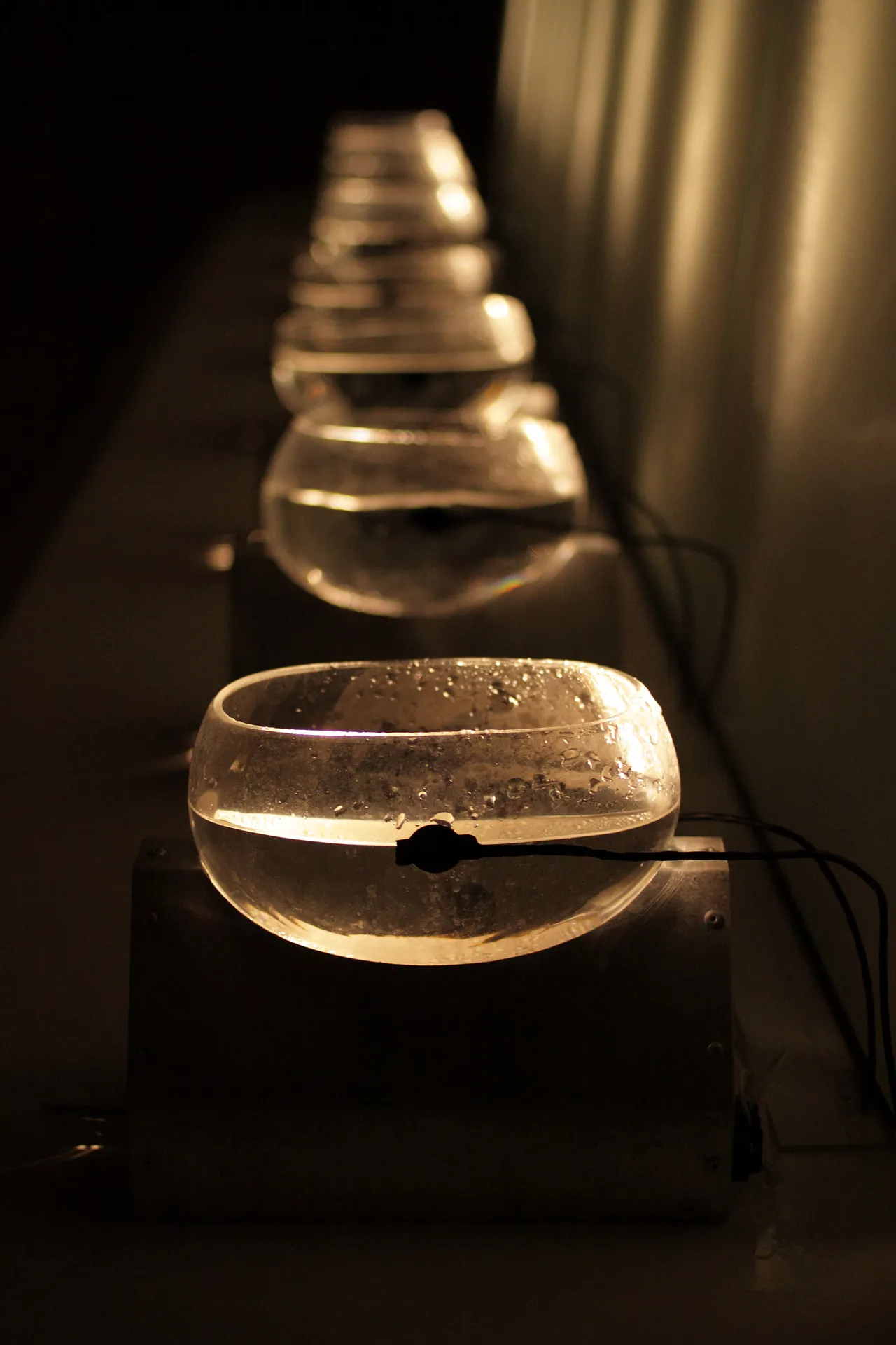 drip: transition