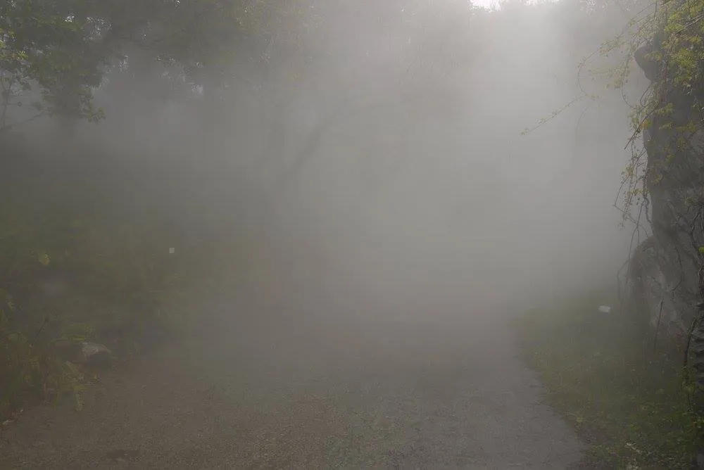 Sounding Fog