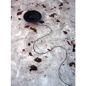 ubiquitous music